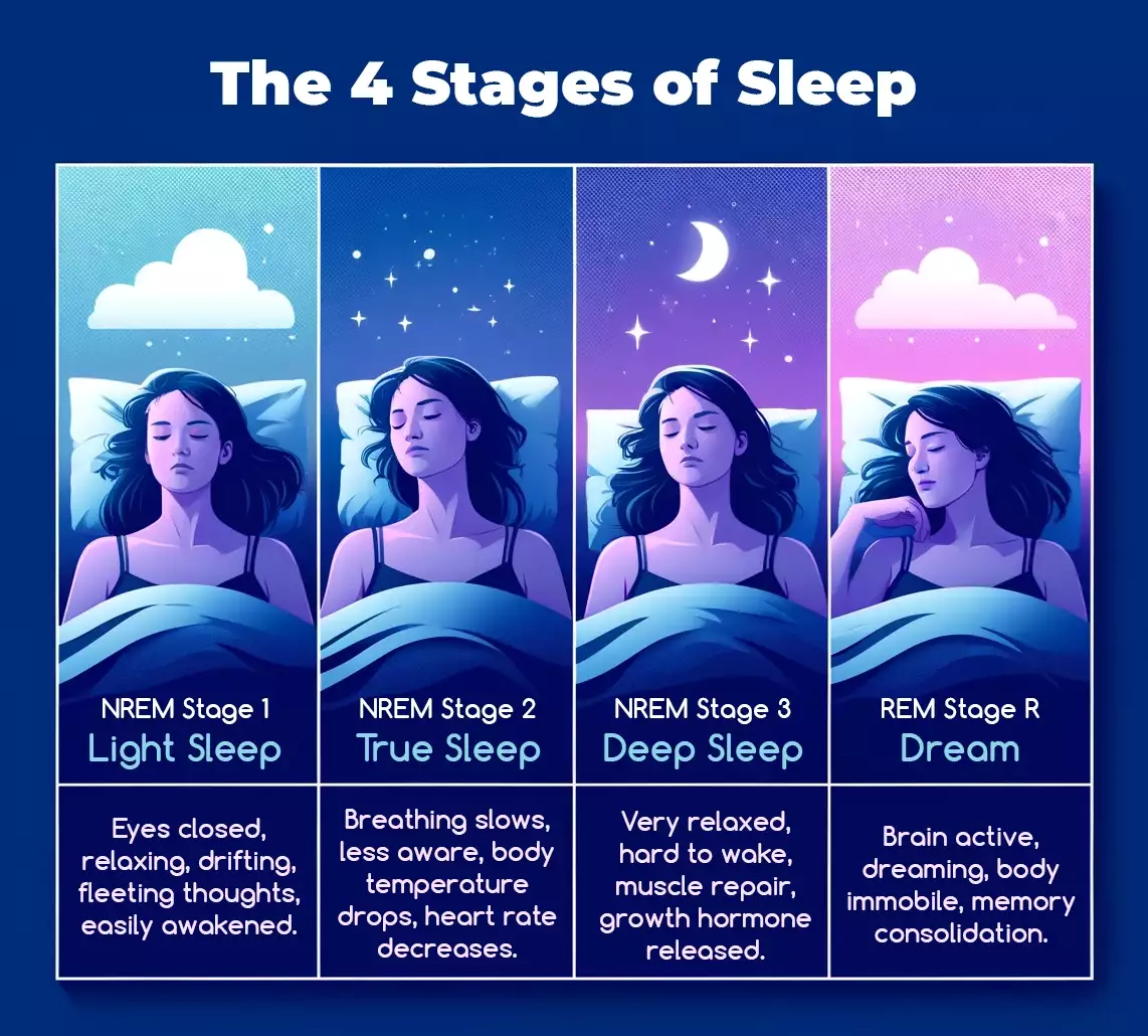 The 4 stages of Sleep