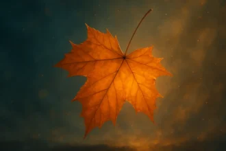 Dreaming about Autumn