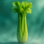 Dreaming about Celery