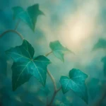 Dreaming about Ivy