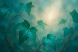 Dreaming about Ivy